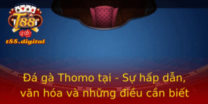 Đá gà Thomo tại T88 - Sự hấp dẫn, văn hóa và những điều cần biết 5 A Ga Thomo Tai Su Hap Dan Van Hoa Va Nhung Ieu Can Biet