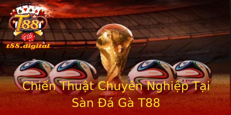 Chiến Thuật Chuyên Nghiệp Tại Sàn Đá Gà T88 Chiến Thuật Chuyên Nghiệp Tại Sàn Đá Gà T88