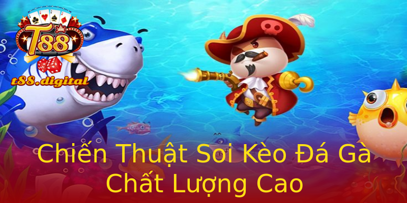 Chiến Thuật Soi Kèo Đá Gà Chất Lượng Cao Chiến Thuật Soi Kèo Đá Gà Chất Lượng Cao