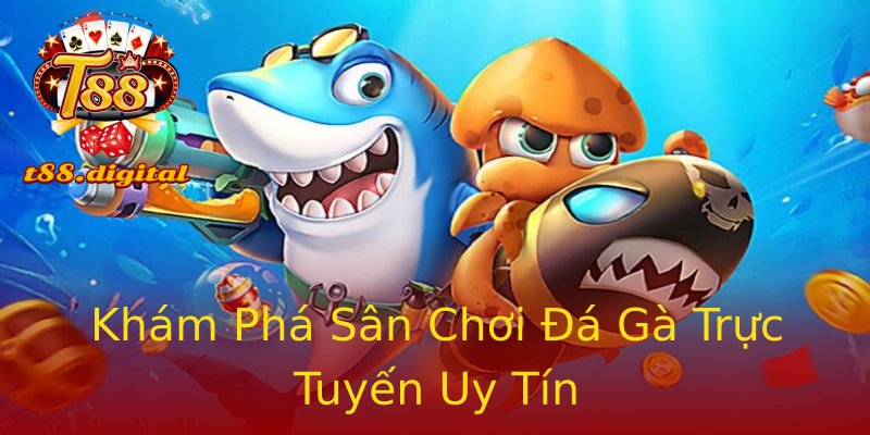Khám Phá Sân Chơi Đá Gà Trực Tuyến Uy Tín Khám Phá Sân Chơi Đá Gà Trực Tuyến Uy Tín