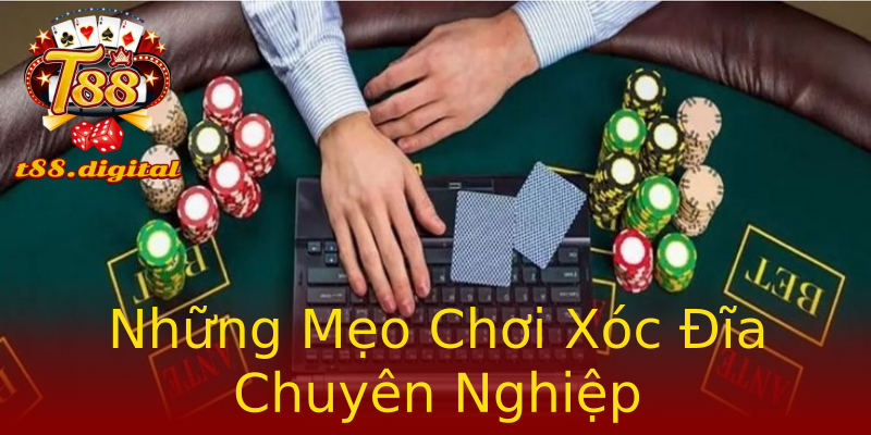 Những Mẹo Chơi Xóc Đĩa Chuyên Nghiệp Những Mẹo Chơi Xóc Đĩa Chuyên Nghiệp