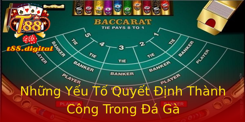 Những Yếu Tố Quyết Định Thành Công Trong Đá Gà Những Yếu Tố Quyết Định Thành Công Trong Đá Gà