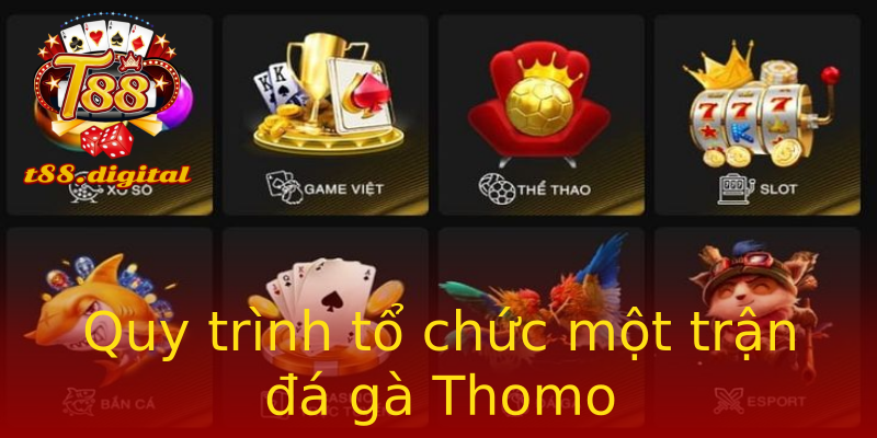 Quy trình tổ chức một trận đá gà Thomo Quy trình tổ chức một trận đá gà Thomo