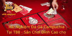 Trải Nghiệm Đá Gà Campuchia Tại T88 - Sân Chơi Đỉnh Cao cho Người Yêu Thích Đá Gà 6 Trai Nghiem A Ga Campuchia Tai T88 San Choi Inh Cao Cho Nguoi Yeu Thich A Ga